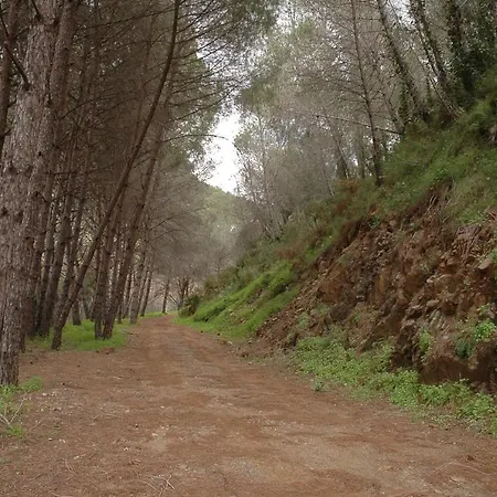 El Capricho De Almadan